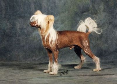 Publication : Badcash