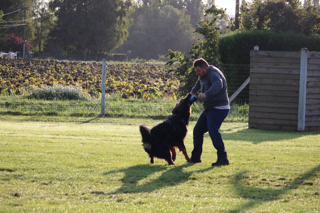 Reisen Des trois petits diables