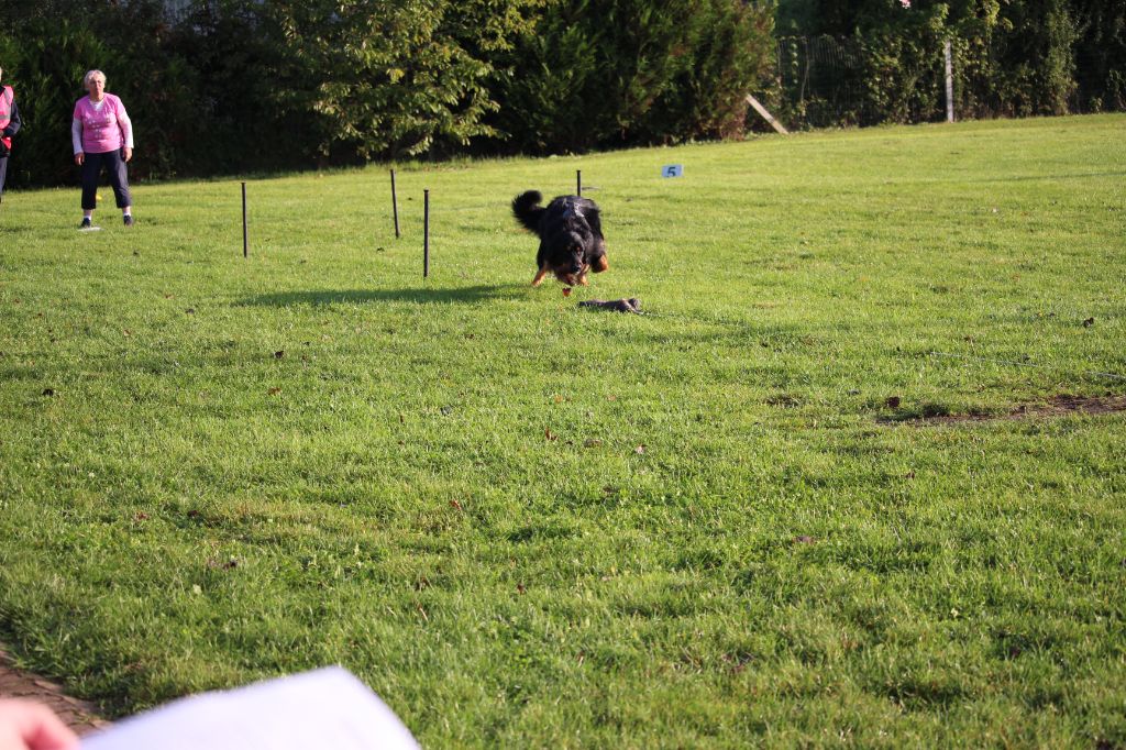 Reisen Des trois petits diables