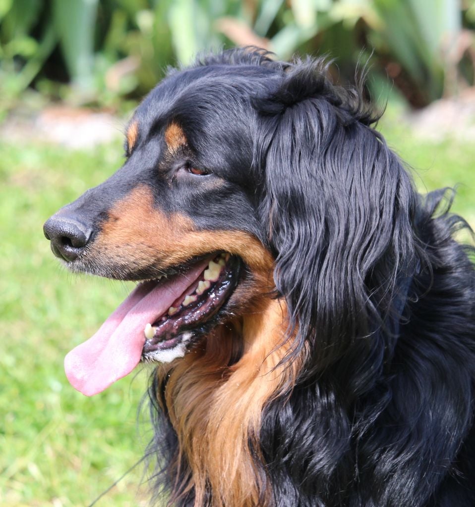 Reisen Des trois petits diables