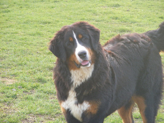 Publication : du domaine du roi richard