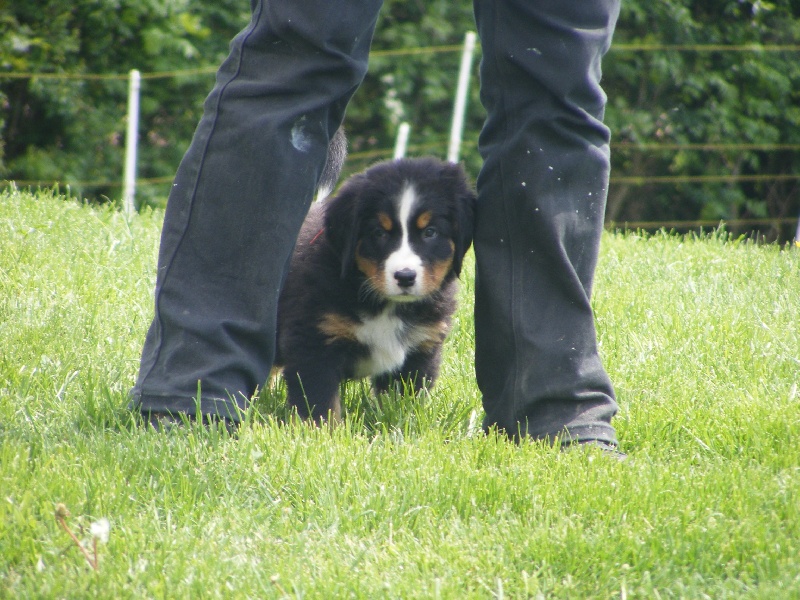 Publication : du domaine du roi richard