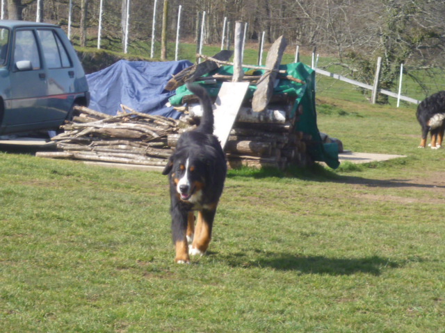 Publication : du domaine du roi richard