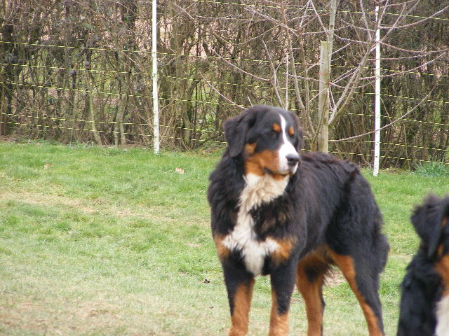 Publication : du domaine du roi richard