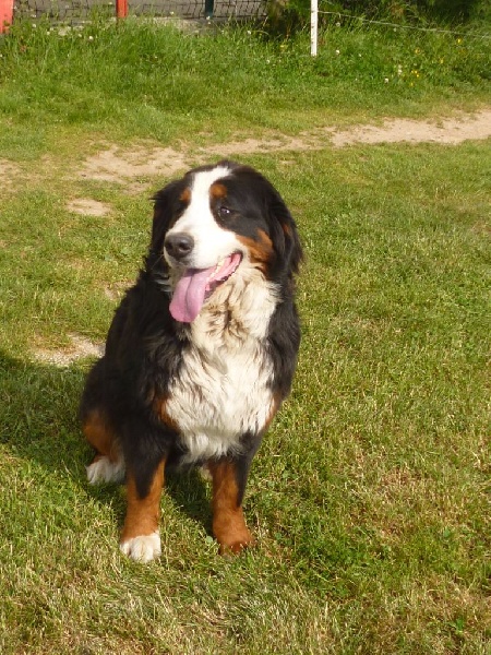 Publication : du domaine du roi richard