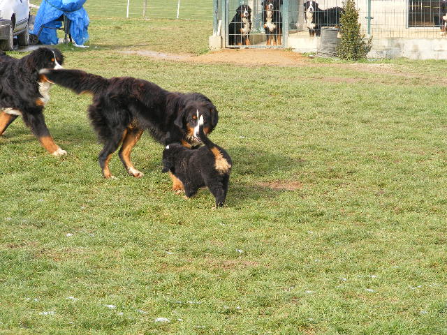 Publication : du domaine du roi richard