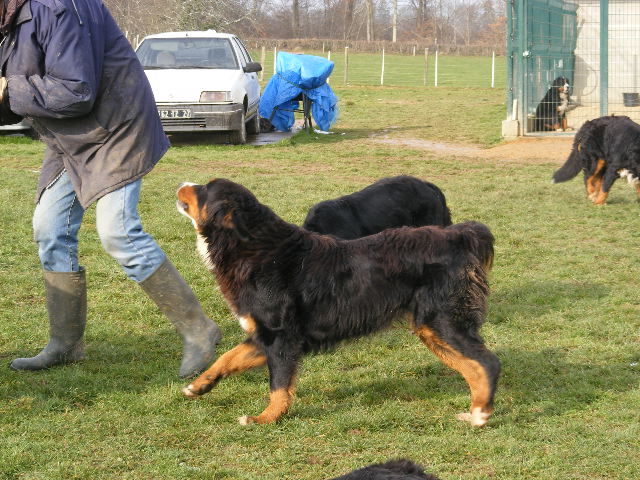 Publication : du domaine du roi richard