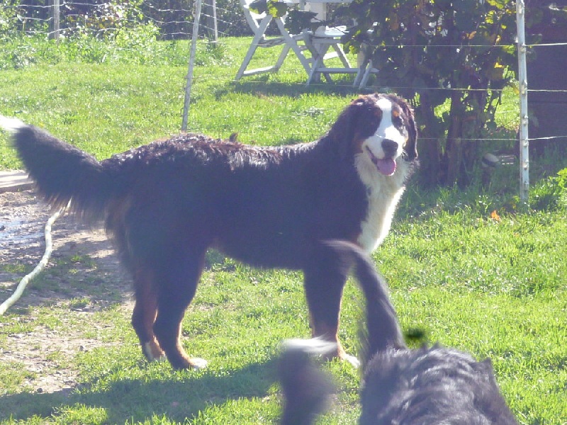 Publication : du domaine du roi richard