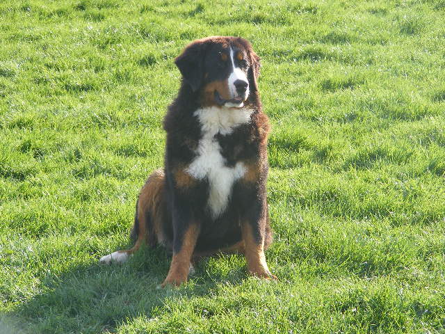 Publication : du domaine du roi richard