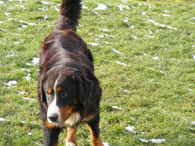 Publication : du domaine du roi richard