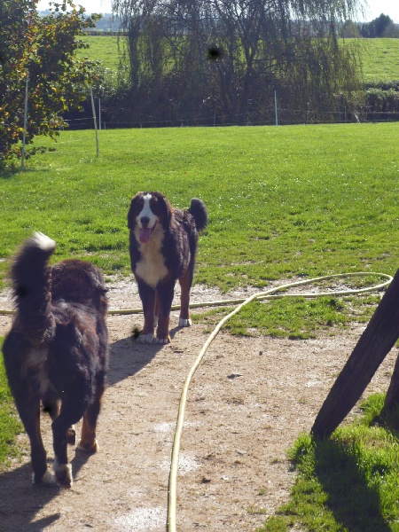 Publication : du domaine du roi richard