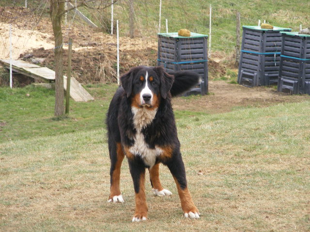 Publication : du domaine du roi richard