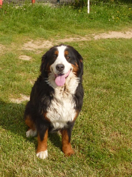 Publication : du domaine du roi richard