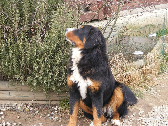 Publication : du domaine du roi richard