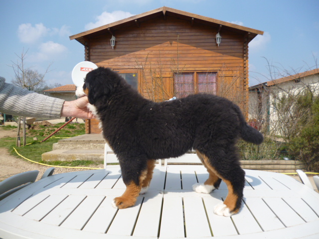 Publication : du domaine du roi richard