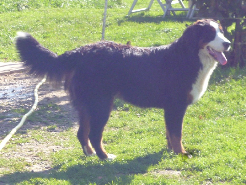 Publication : du domaine du roi richard