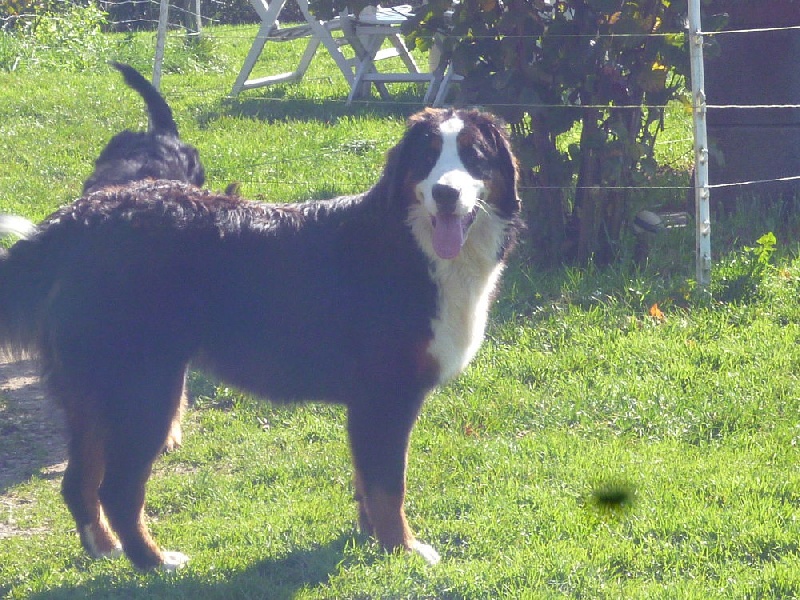 Publication : du domaine du roi richard