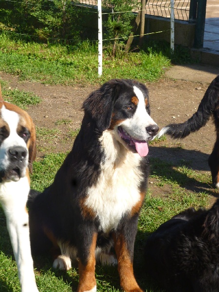 Publication : du domaine du roi richard