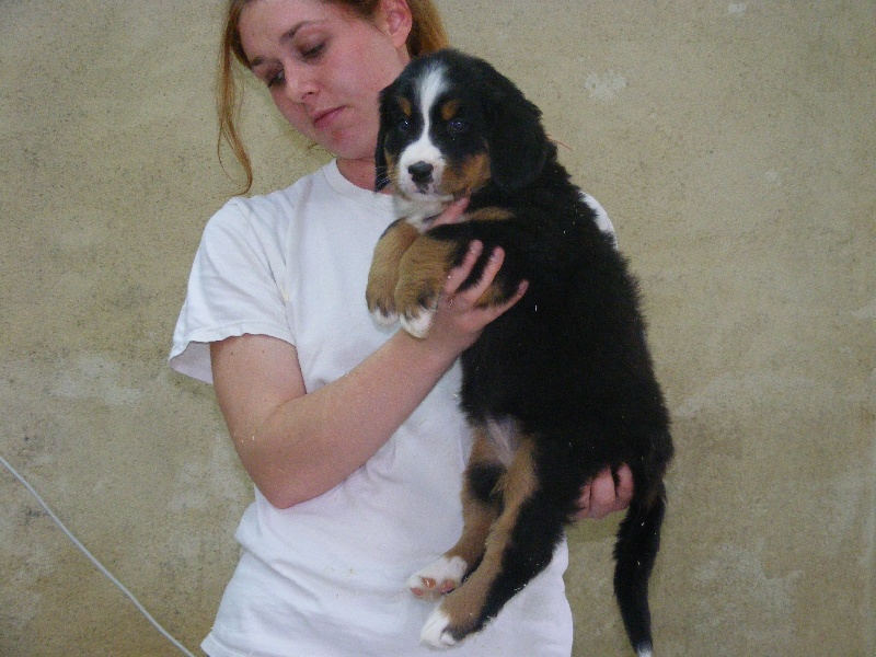 Publication : du domaine du roi richard