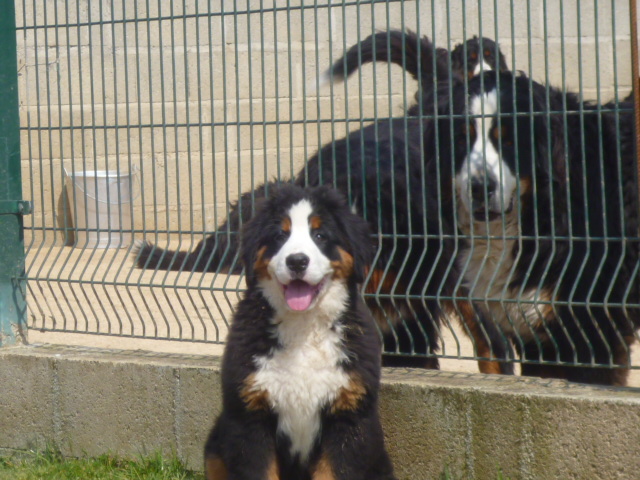 Publication : du domaine du roi richard