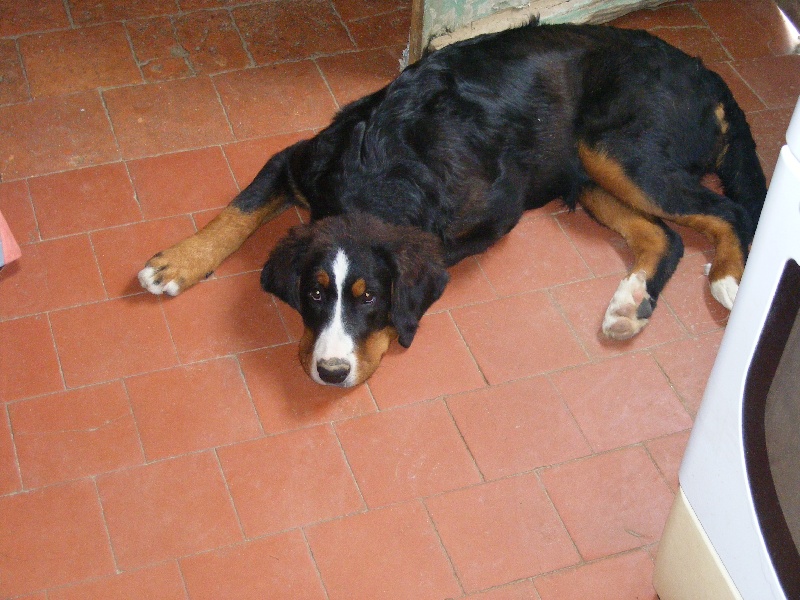 Publication : du domaine du roi richard