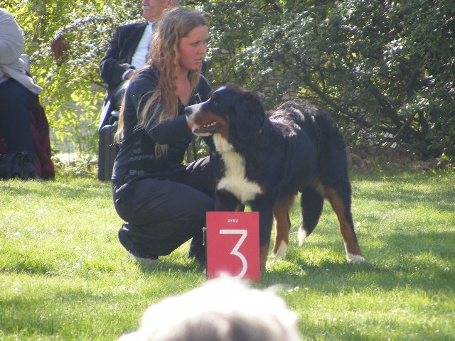 Flo du domaine du roi richard - 3EME TRES PROMETTEUR