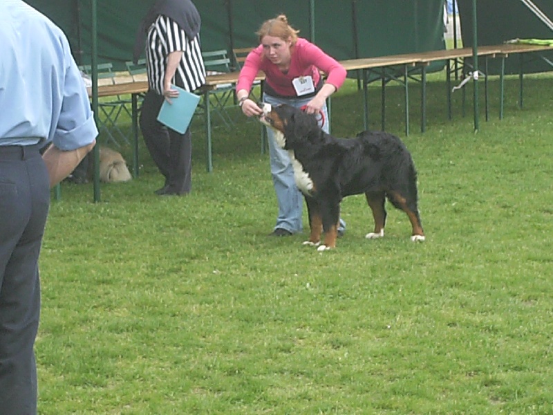 Dana du domaine du roi richard - 1ERE ET MEILLEURE JEUNE