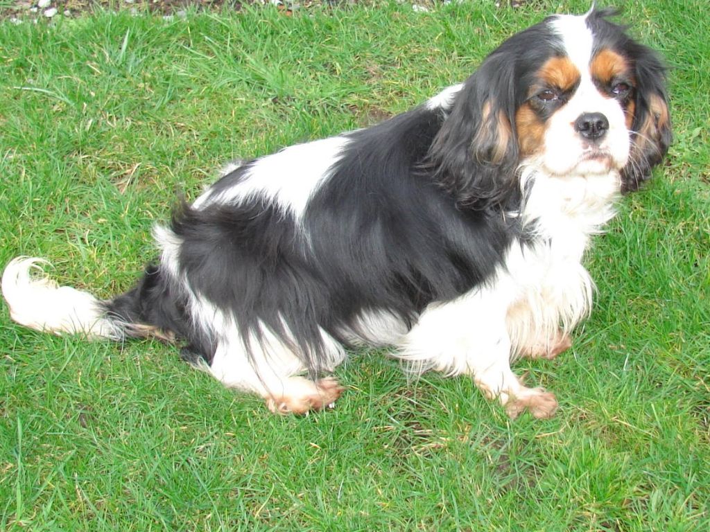 Publication : Du val de la lauriere