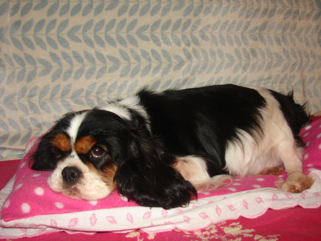 Publication : Du val de la lauriere