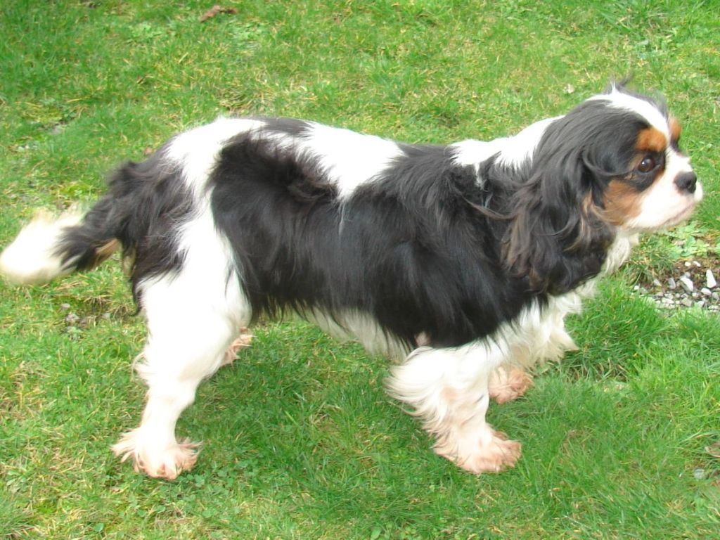 Publication : Du val de la lauriere