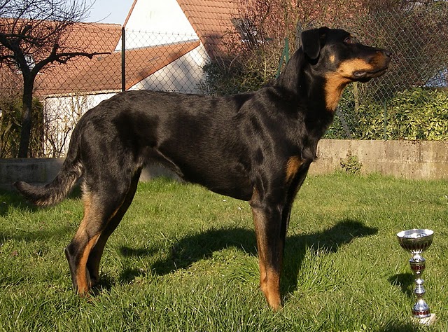 Epsane des Coteaux du petit gris