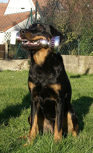 Epsane des Coteaux du petit gris