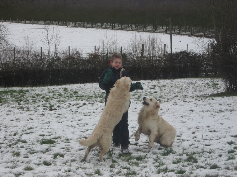 Publication : du domaine des calins Auteur : OLLIVIER