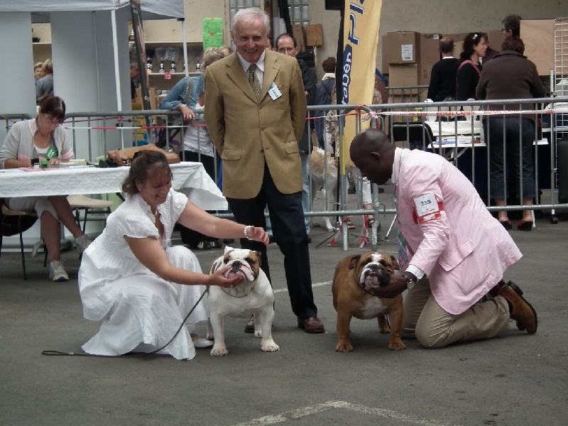 Enzo du domaine des calins - CACIB CACS MEILLEUR DE RACE