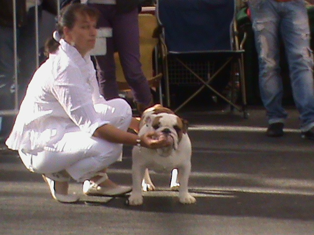 Enzo du domaine des calins - TRES PROMETTEUR CLASSE PUPPY