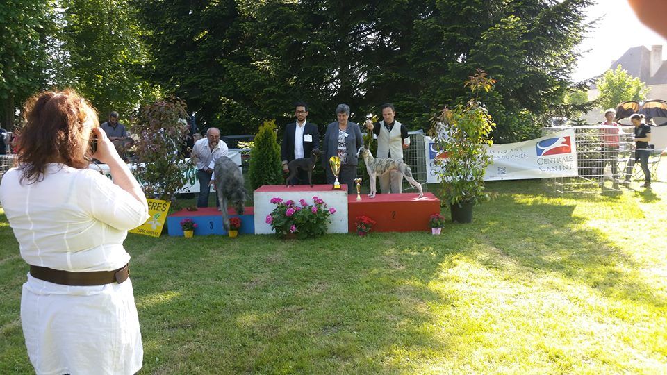 Publication : du chevalaume