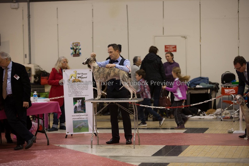 I am gentleman du chevalaume - Excellent