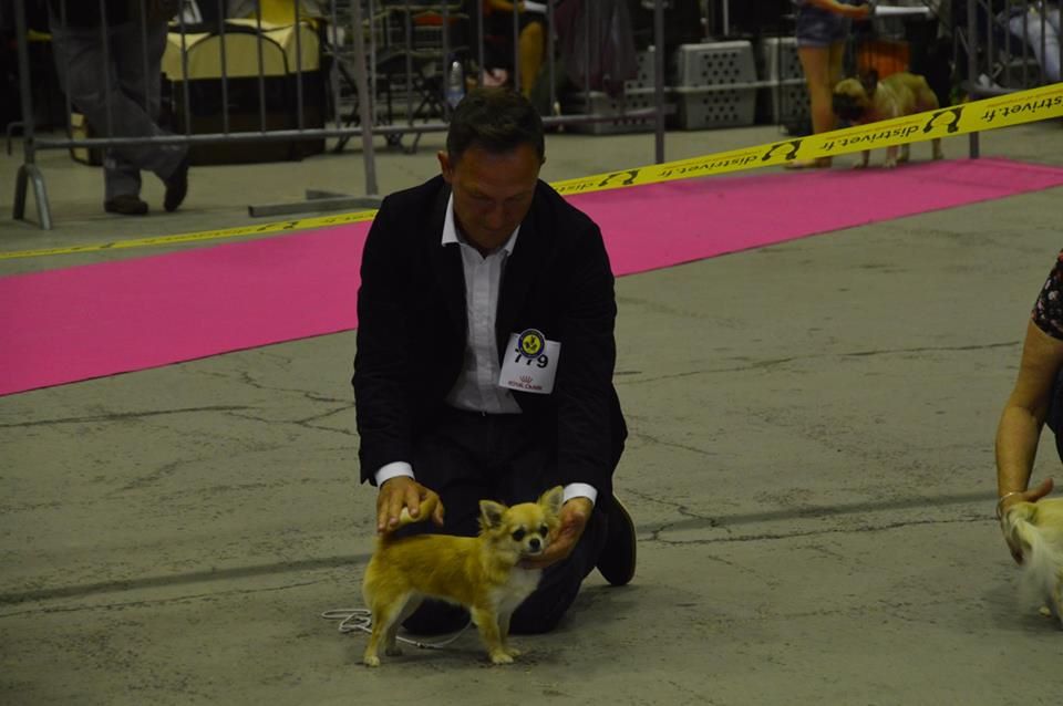 No one above me de l'île aux genêts - 3e Excellent