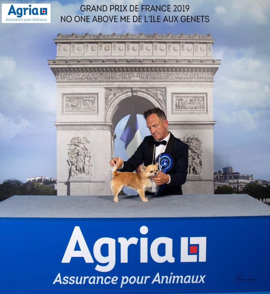 No one above me de l'île aux genêts - 3e Excellent