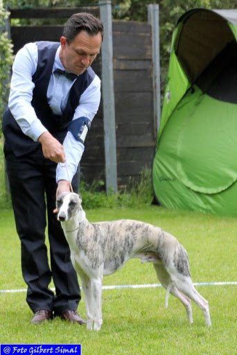 I am gentleman du chevalaume - 3e en classe ouverte