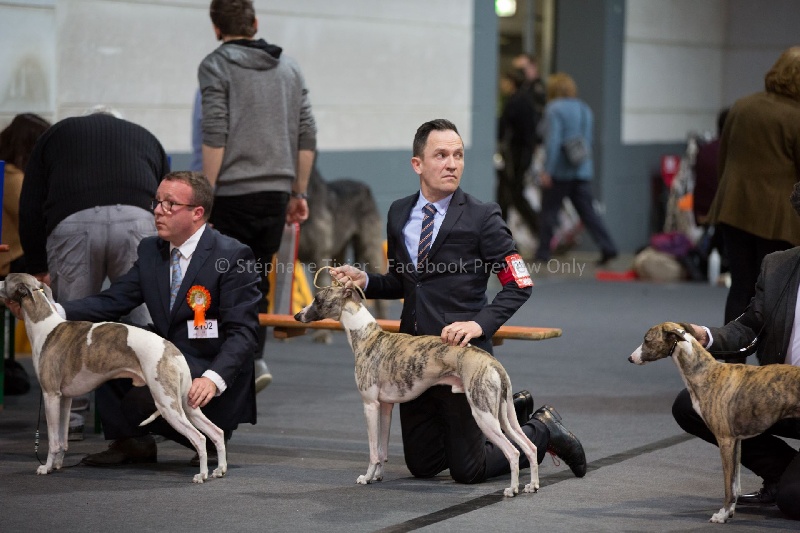 I am gentleman du chevalaume - 3e Excellent