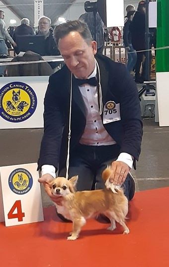 No one above me de l'île aux genêts - 4e Très bon