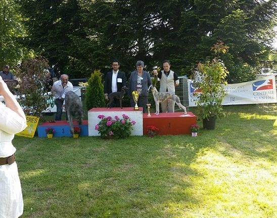 I am gentleman du chevalaume - 1er excellent, CACS, meilleur de race, 2e groupe 10