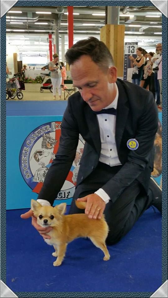 No one above me de l'île aux genêts - Très bon