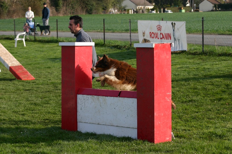 Publication : Amber Oaks