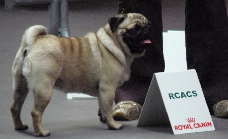 Publication : Dreamlander