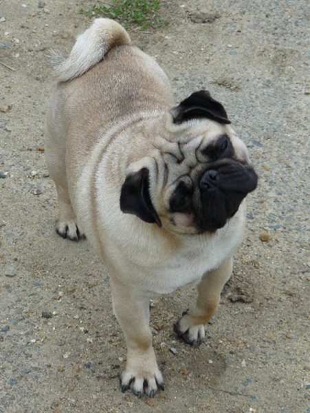 Publication : Dreamlander Auteur : www.dreamlander.fr