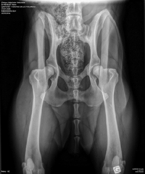 Publication : de la bande à Gro Auteur : CQuemener