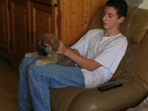 Publication : de la bande à Gro Auteur : CQuemener