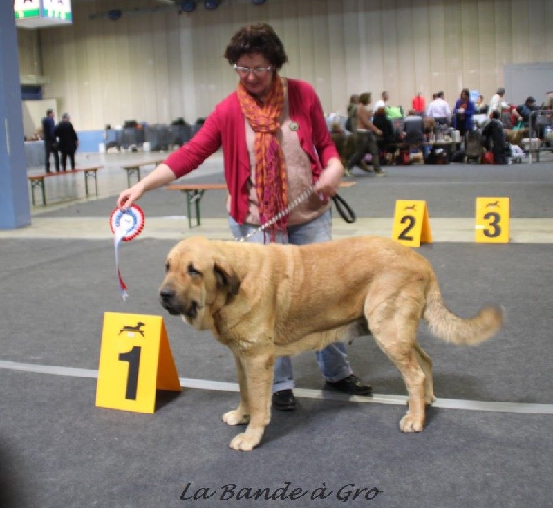 Publication : de la bande à Gro Auteur : CQuemener